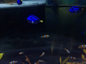 Inside the Aquarium KLCC in Malaysia